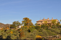 vista agriturismo lato uliveto 2