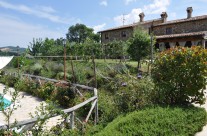 giardino piscina