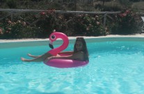 foto piscina 3