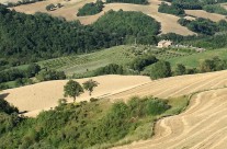 vista panoramica agriturismo